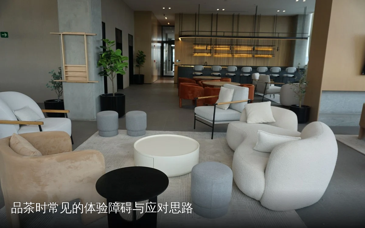 品茶时常见的体验障碍与应对思路